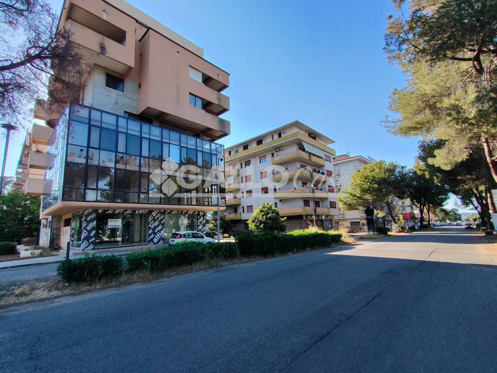 immagine annuncio 5 di 6