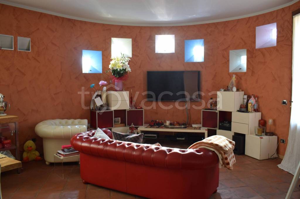 immagine annuncio 11 di 15