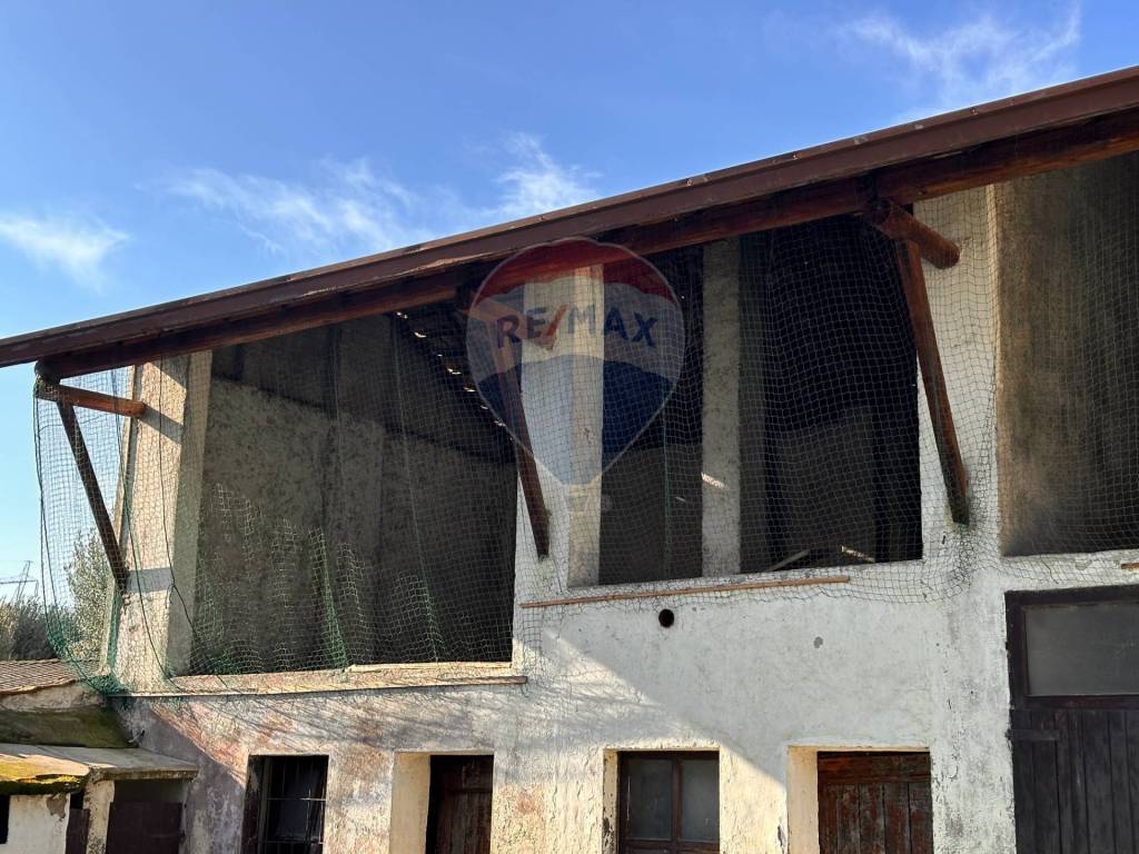 immagine annuncio 5 di 14
