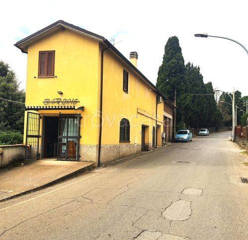 immagine annuncio 2 di 12