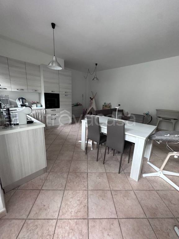 immagine annuncio 1 di 14