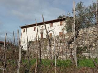 Villa in vendita a beverino via cernadore