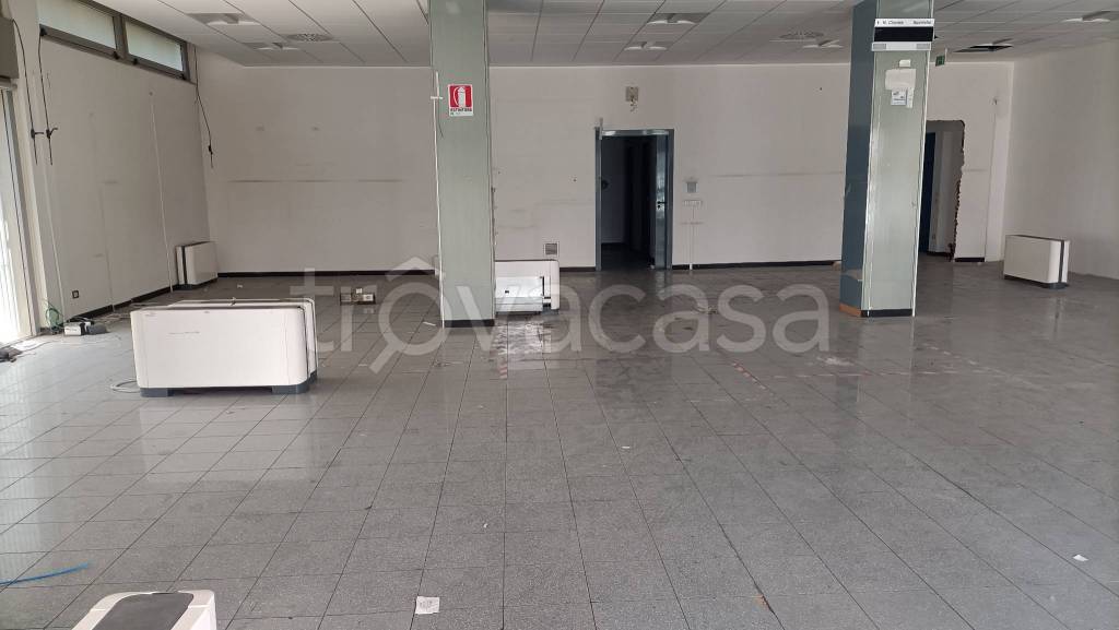 immagine annuncio 11 di 12