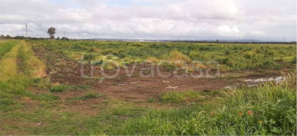 immagine annuncio 2 di 6