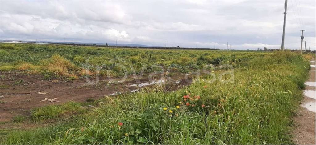 immagine annuncio 4 di 6