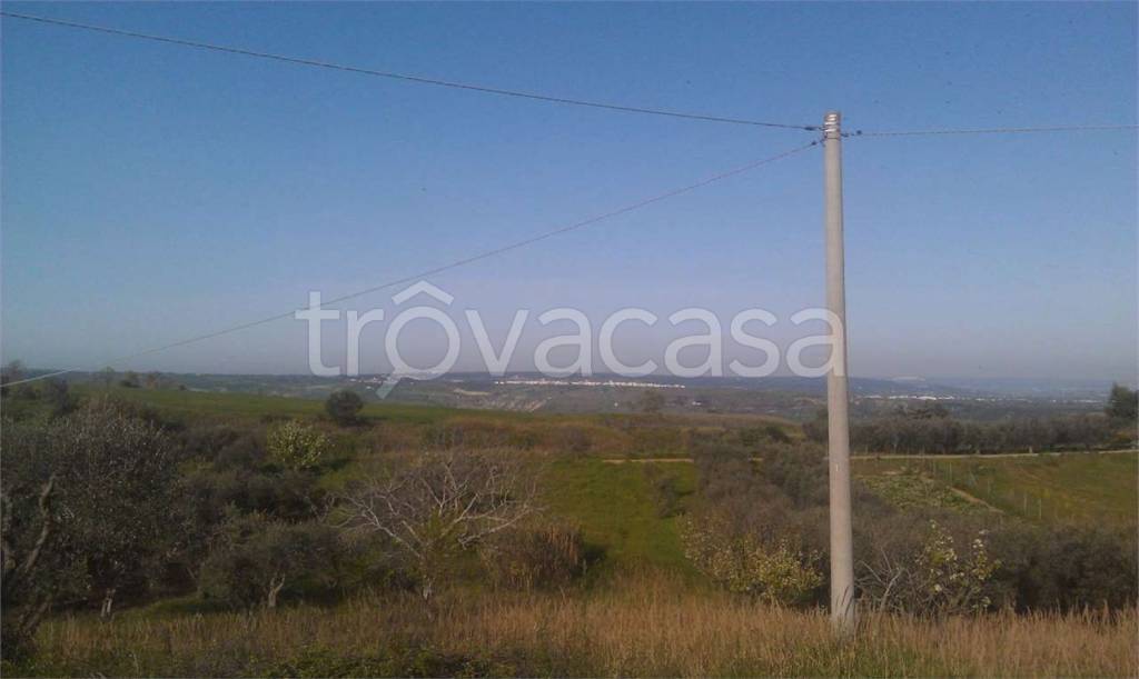 immagine annuncio 6 di 7