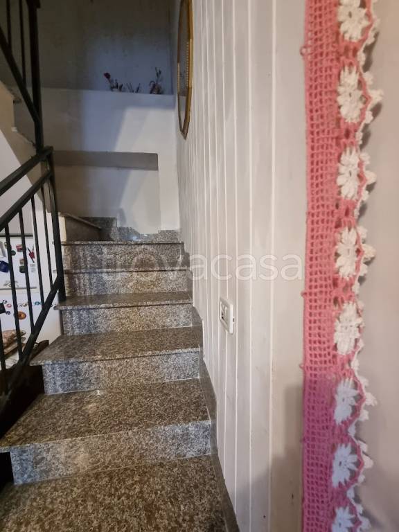 immagine annuncio 5 di 14