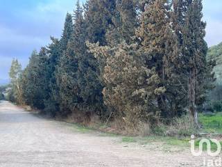 Terreno agricolo in vendita a castiadas podere annunziata 2