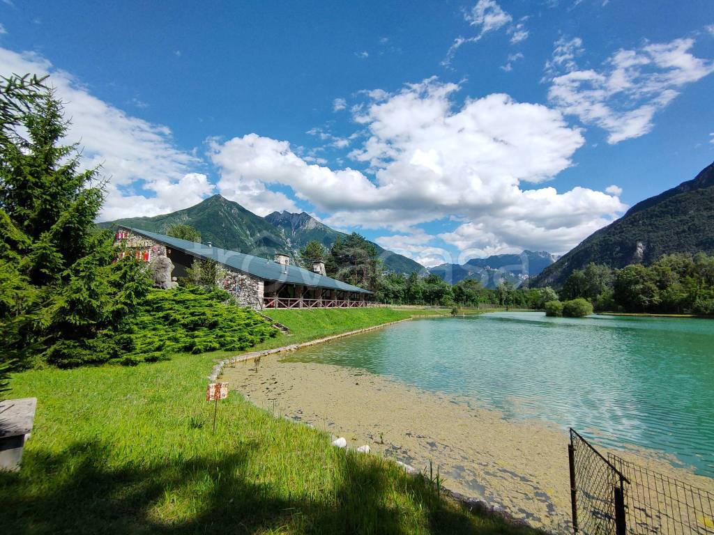 immagine annuncio 12 di 15