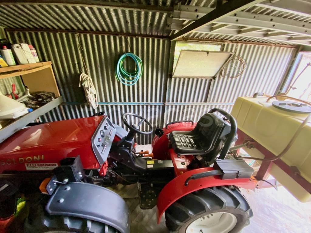 immagine annuncio 6 di 15