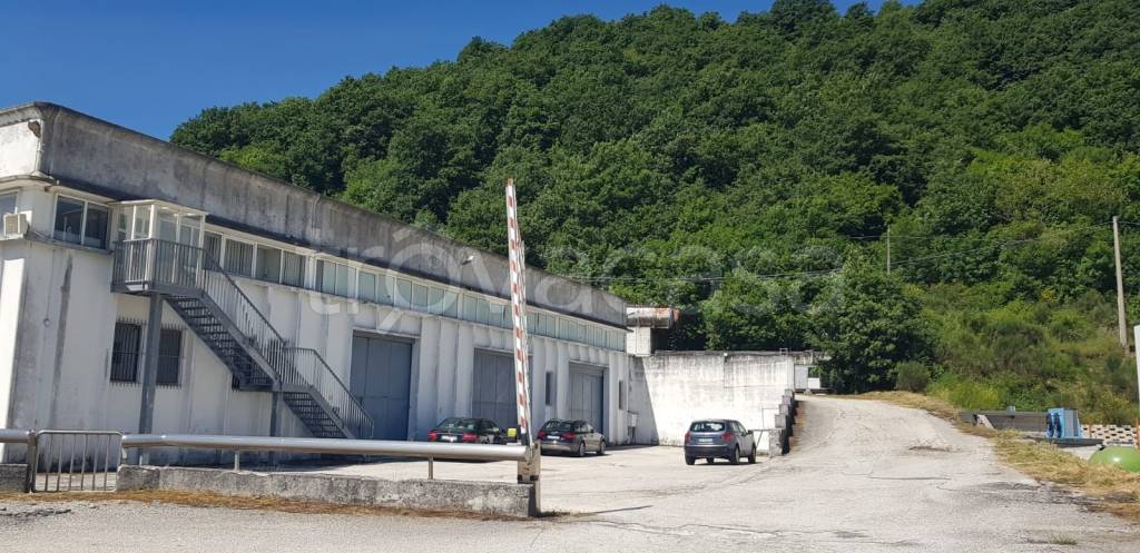 immagine annuncio 7 di 9
