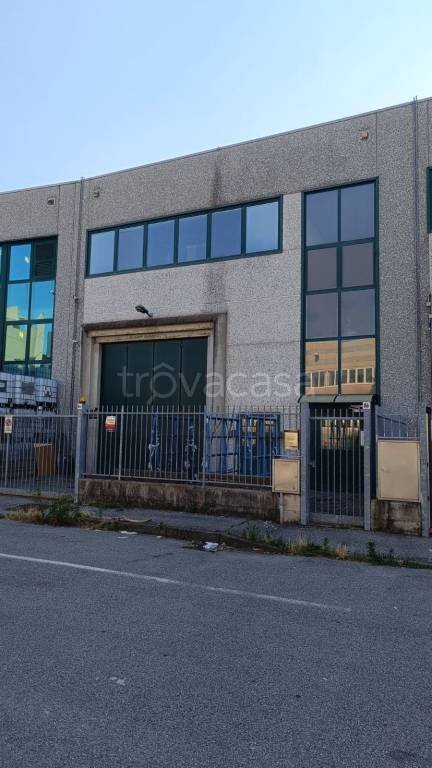 immagine annuncio 1 di 4