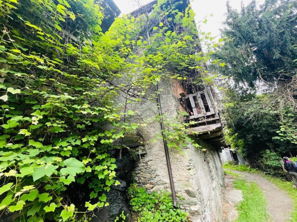 immagine annuncio 3 di 14