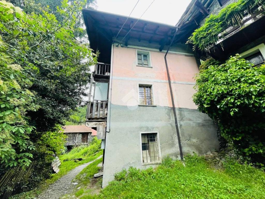 immagine annuncio 6 di 14