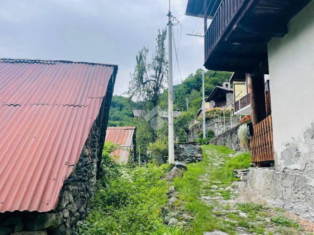 immagine annuncio 7 di 14