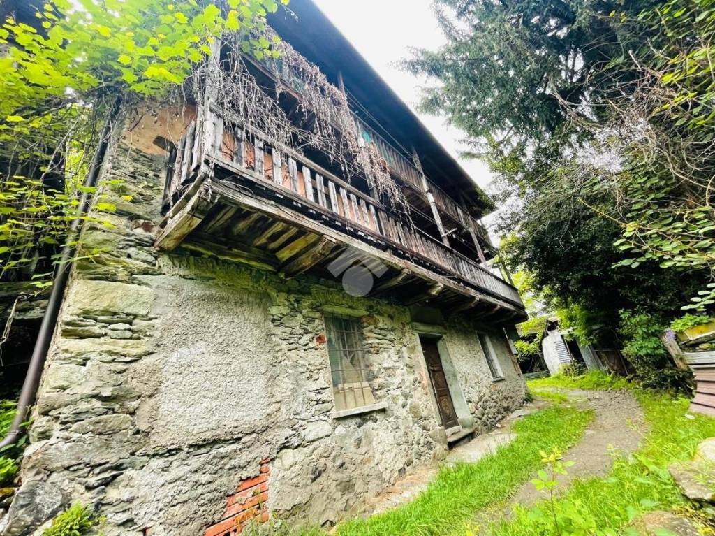 immagine annuncio 9 di 14