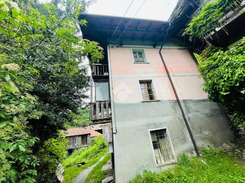 immagine annuncio 11 di 14