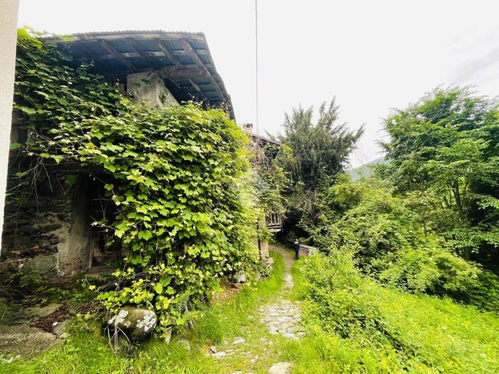 immagine annuncio 12 di 14