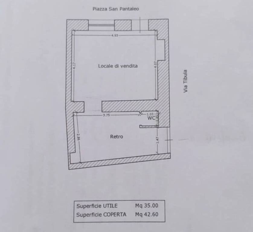 immagine annuncio 10 di 11