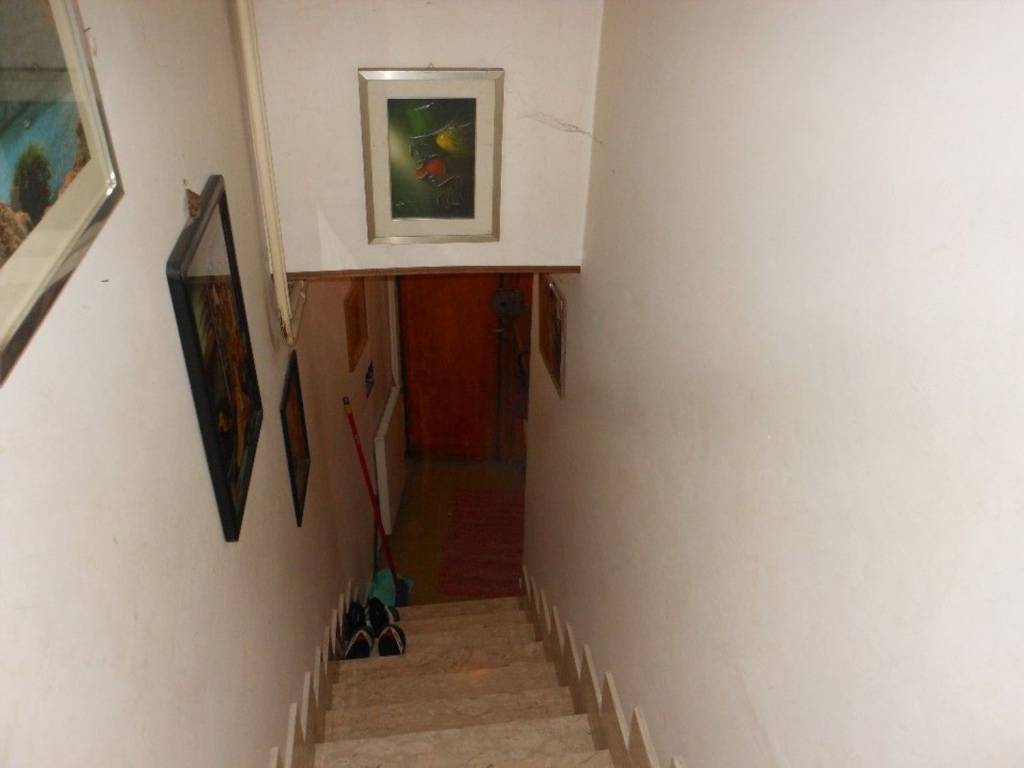 immagine annuncio 10 di 14
