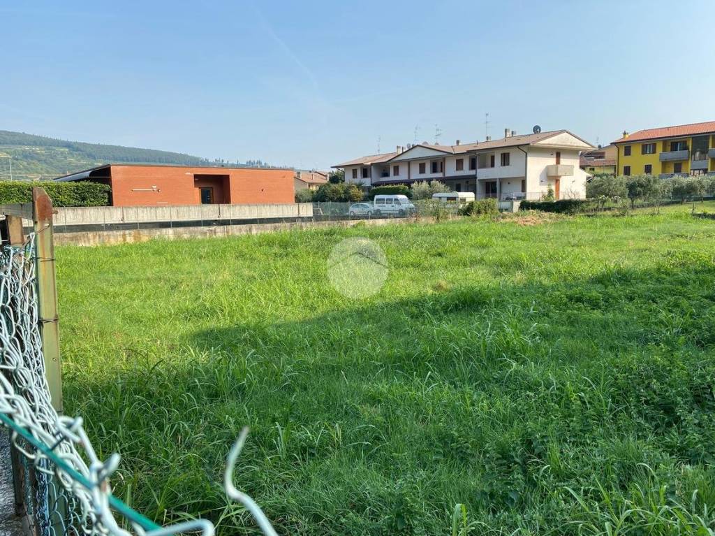 immagine annuncio 5 di 14