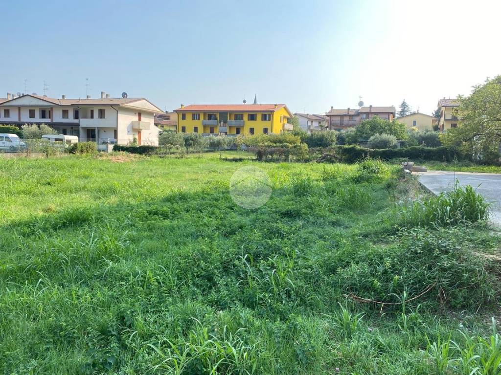 immagine annuncio 7 di 14