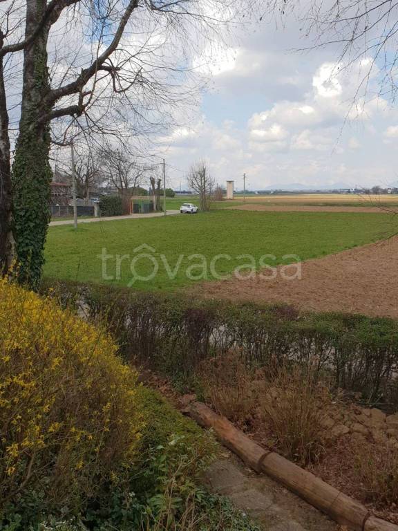 immagine annuncio 1 di 6