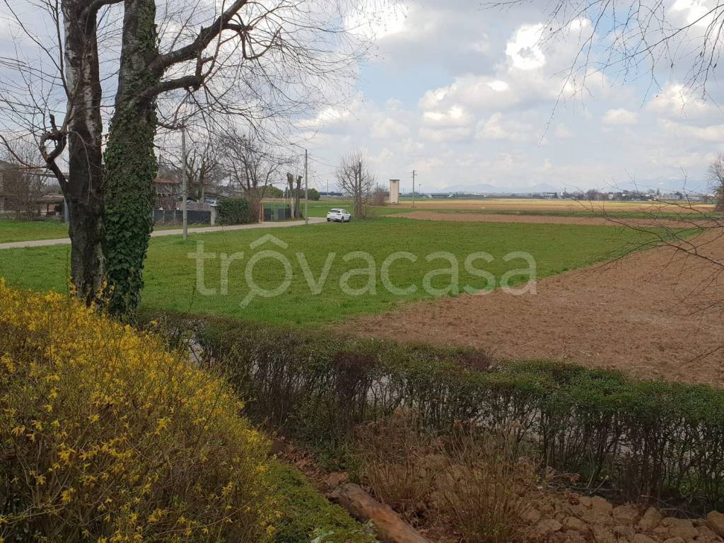 immagine annuncio 2 di 6