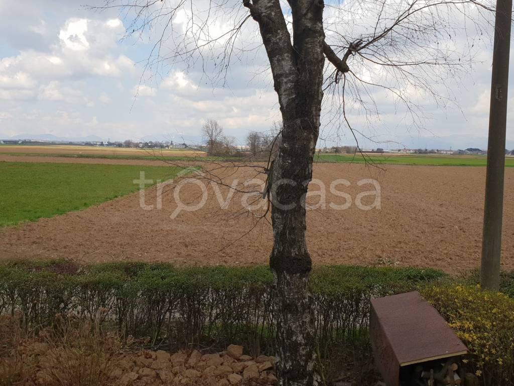 immagine annuncio 3 di 6
