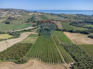 Terreno agricolo in vendita a città sant'angelo luciano lama, 23