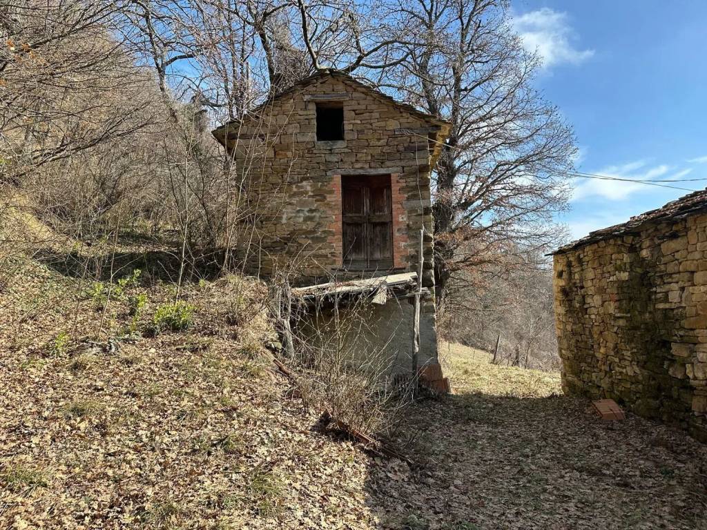 immagine annuncio 4 di 12