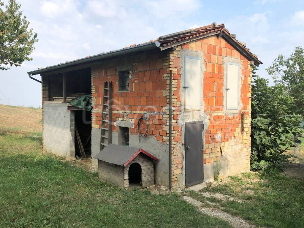 immagine annuncio 1 di 4