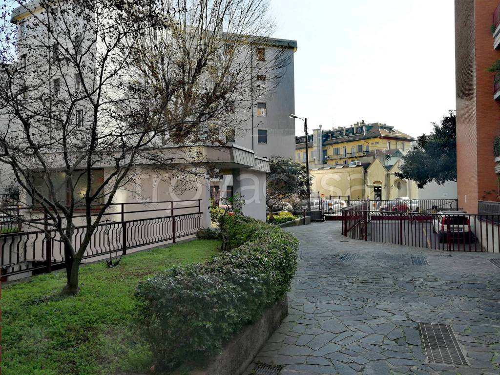 immagine annuncio 12 di 13