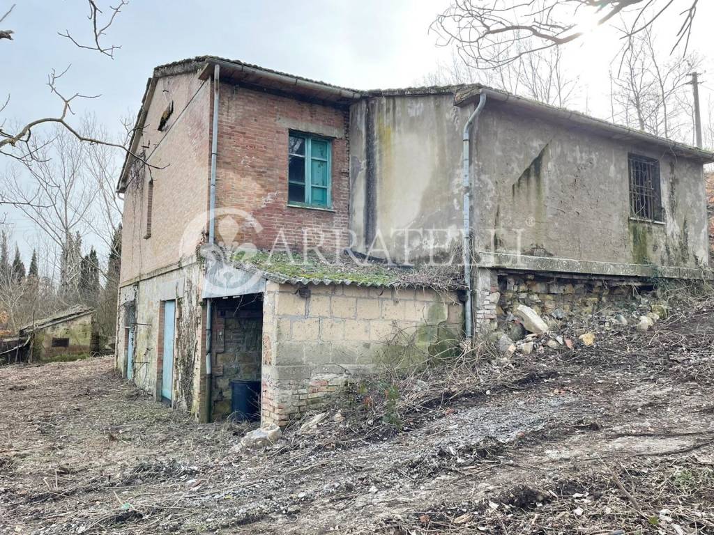 immagine annuncio 2 di 11