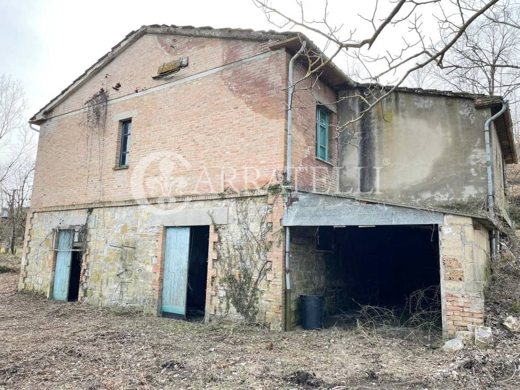 immagine annuncio 3 di 11