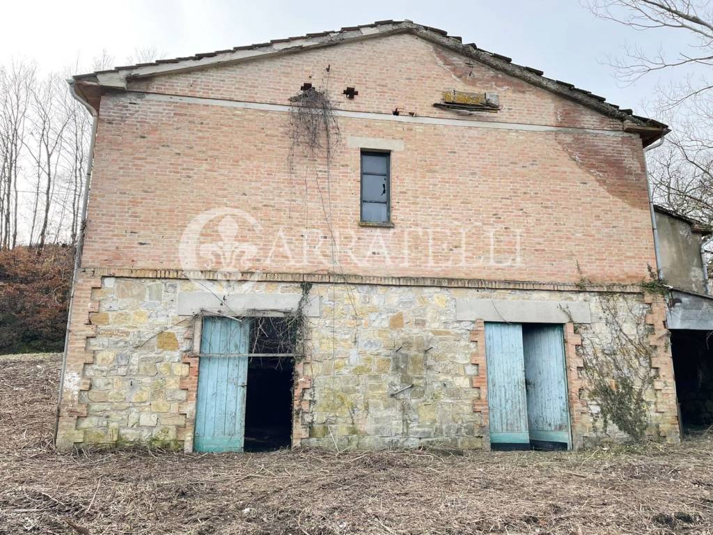 immagine annuncio 4 di 11