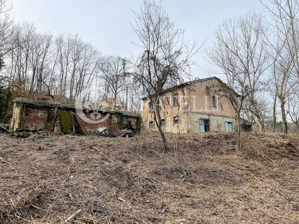 immagine annuncio 9 di 11