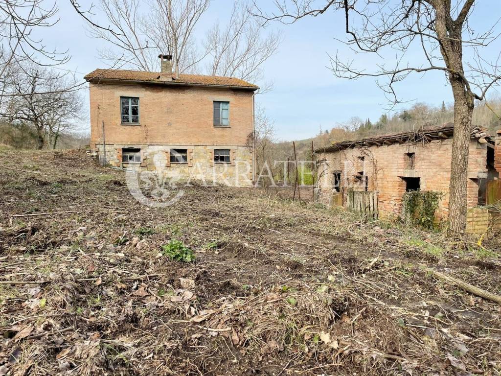 immagine annuncio 10 di 11