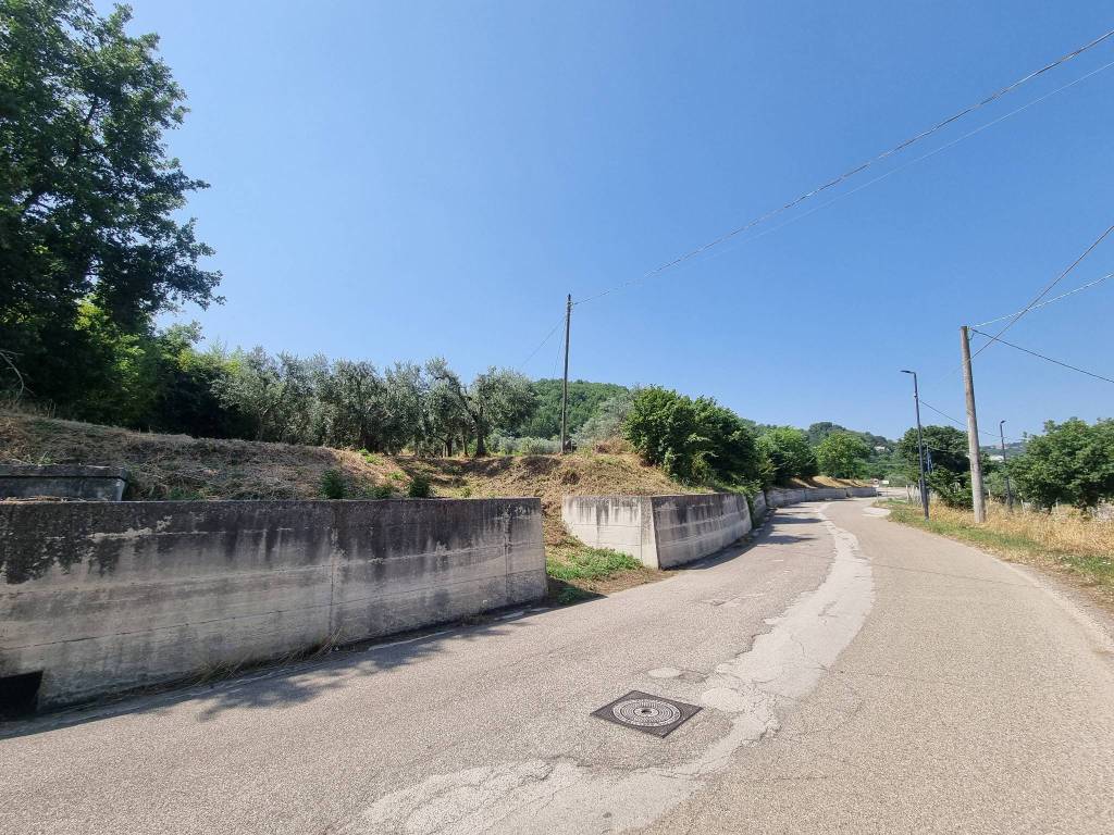 immagine annuncio 1 di 12