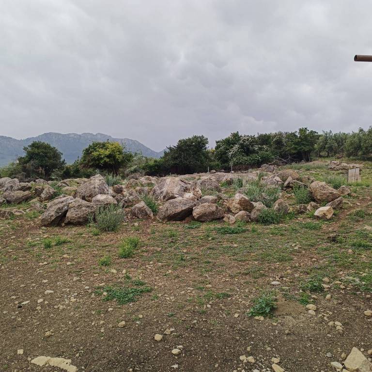 immagine annuncio 3 di 11