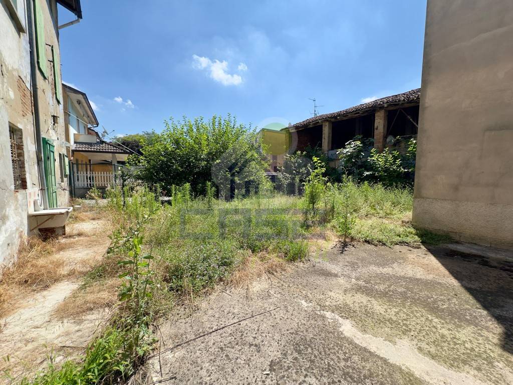 immagine annuncio 7 di 14