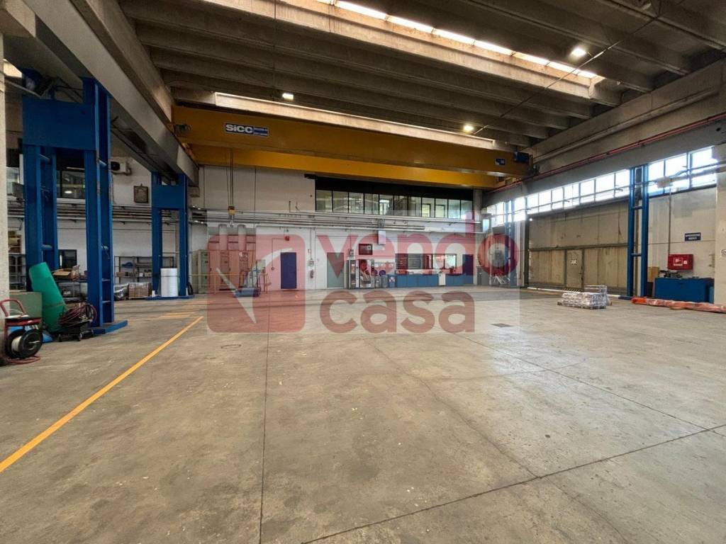 immagine annuncio 5 di 6
