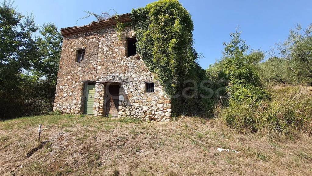 immagine annuncio 11 di 13