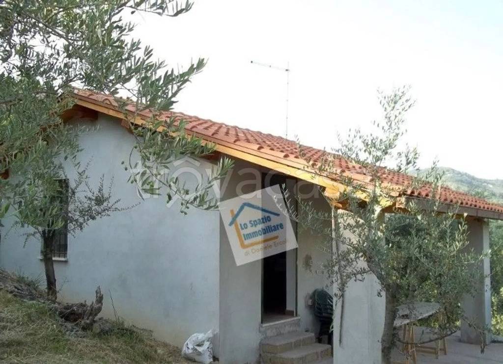 immagine annuncio 1 di 7