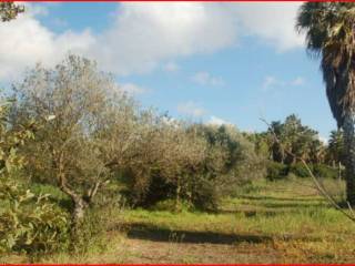 Terreno commerciale in vendita a oristano sp4