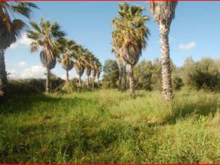 Terreno commerciale in vendita a oristano sp4