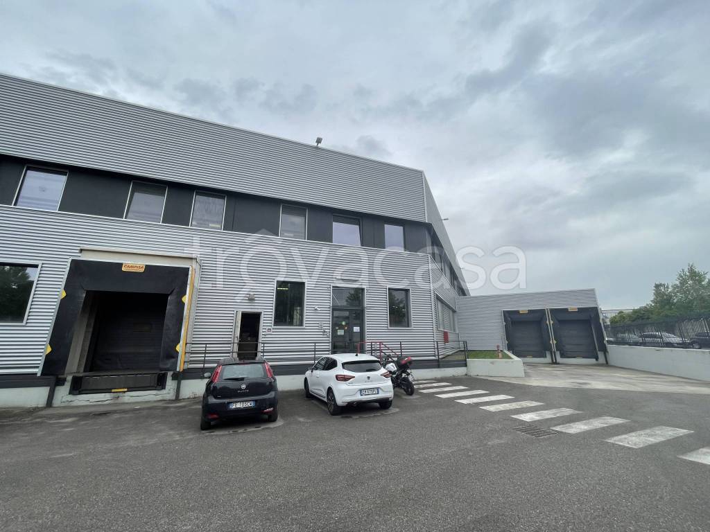 immagine annuncio 7 di 15