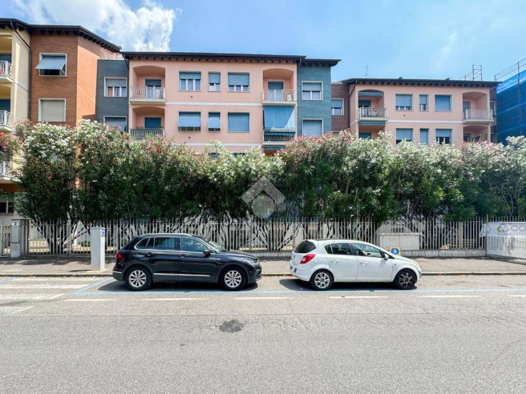 immagine annuncio 3 di 12