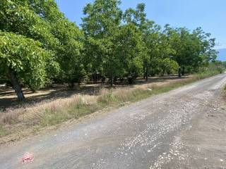 Terreno agricolo in vendita a palma campania 