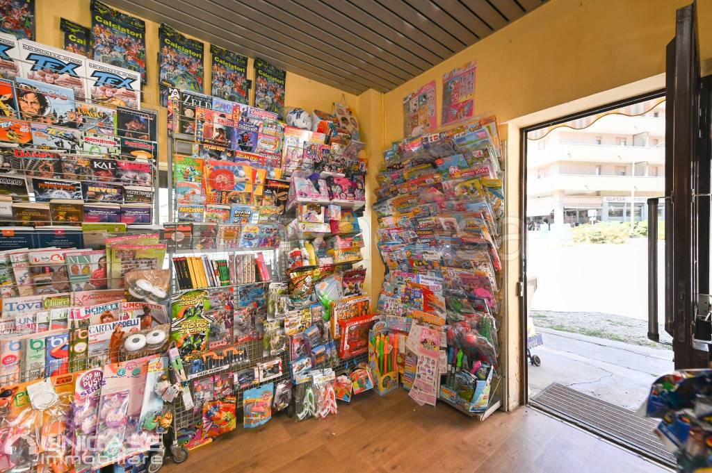 immagine annuncio 12 di 13